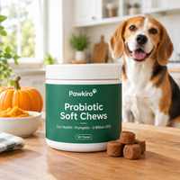 Probiotic Soft Chews with a beagle
