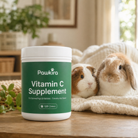Vitamin C Supplement with a guinea pig and a rabbit